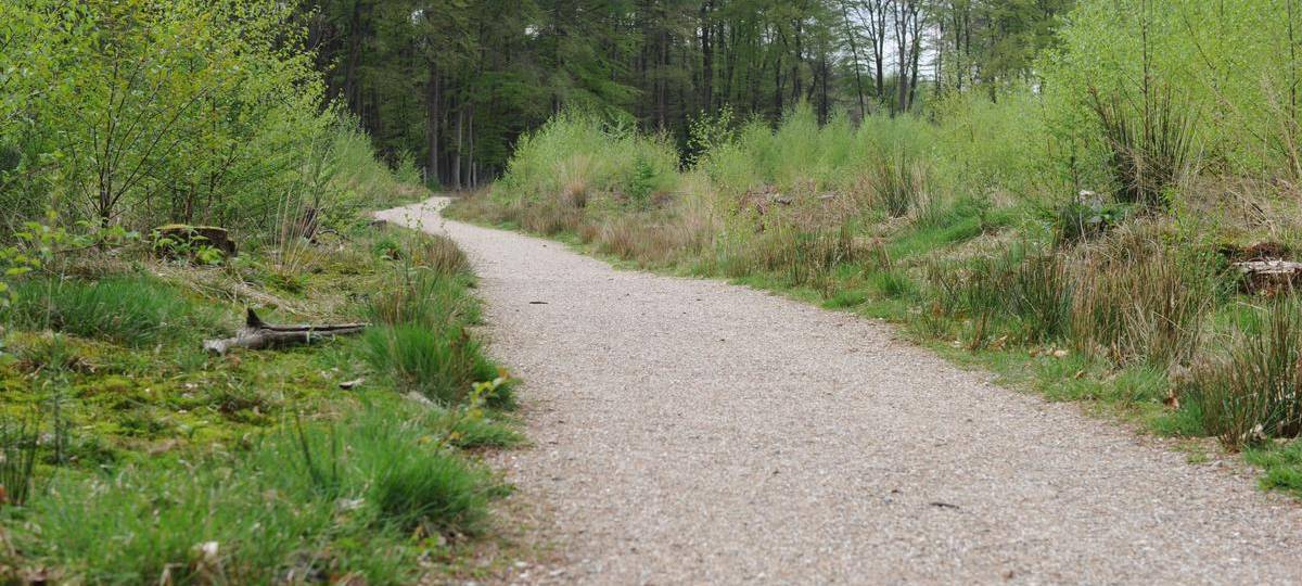 Geld für Naturprojekte