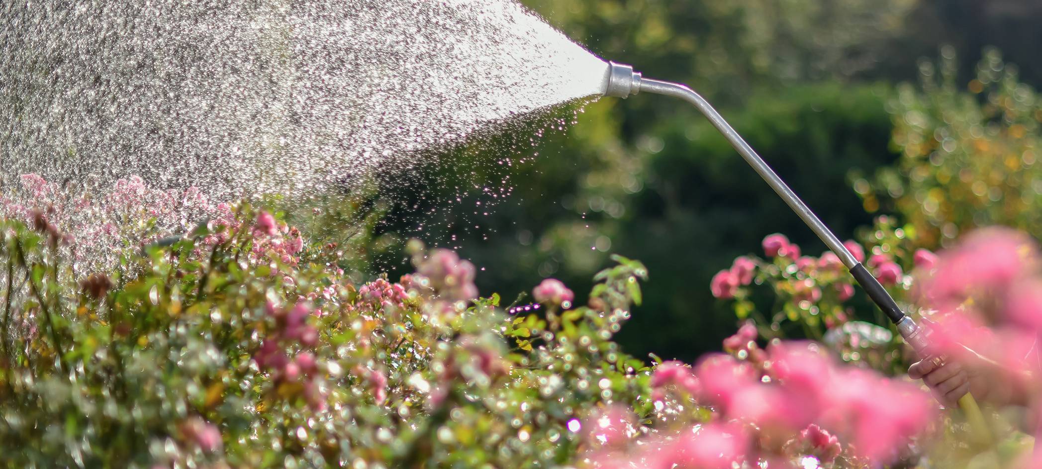 Abends fließt das meiste Trinkwasser
