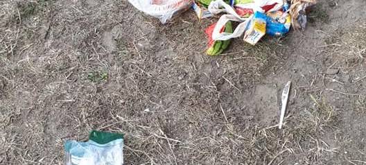 300 Freiwillige haben aufgeräumt