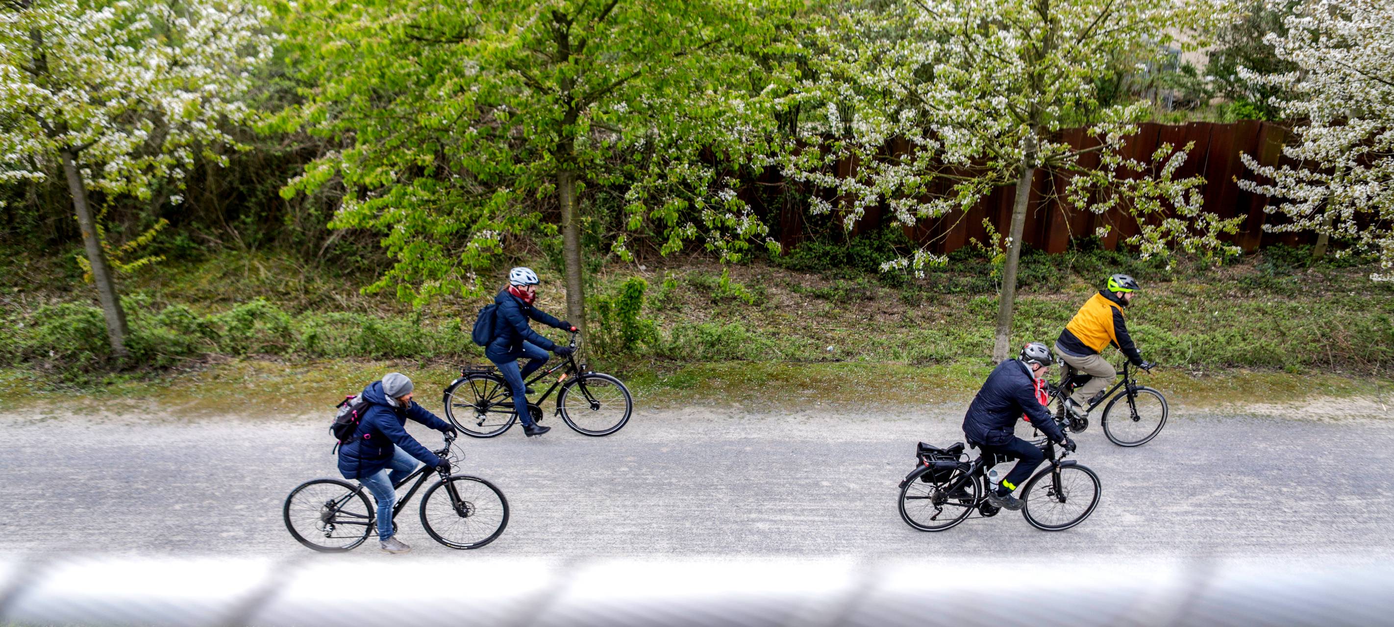 Ehrung für klimafreundliche Aktionen