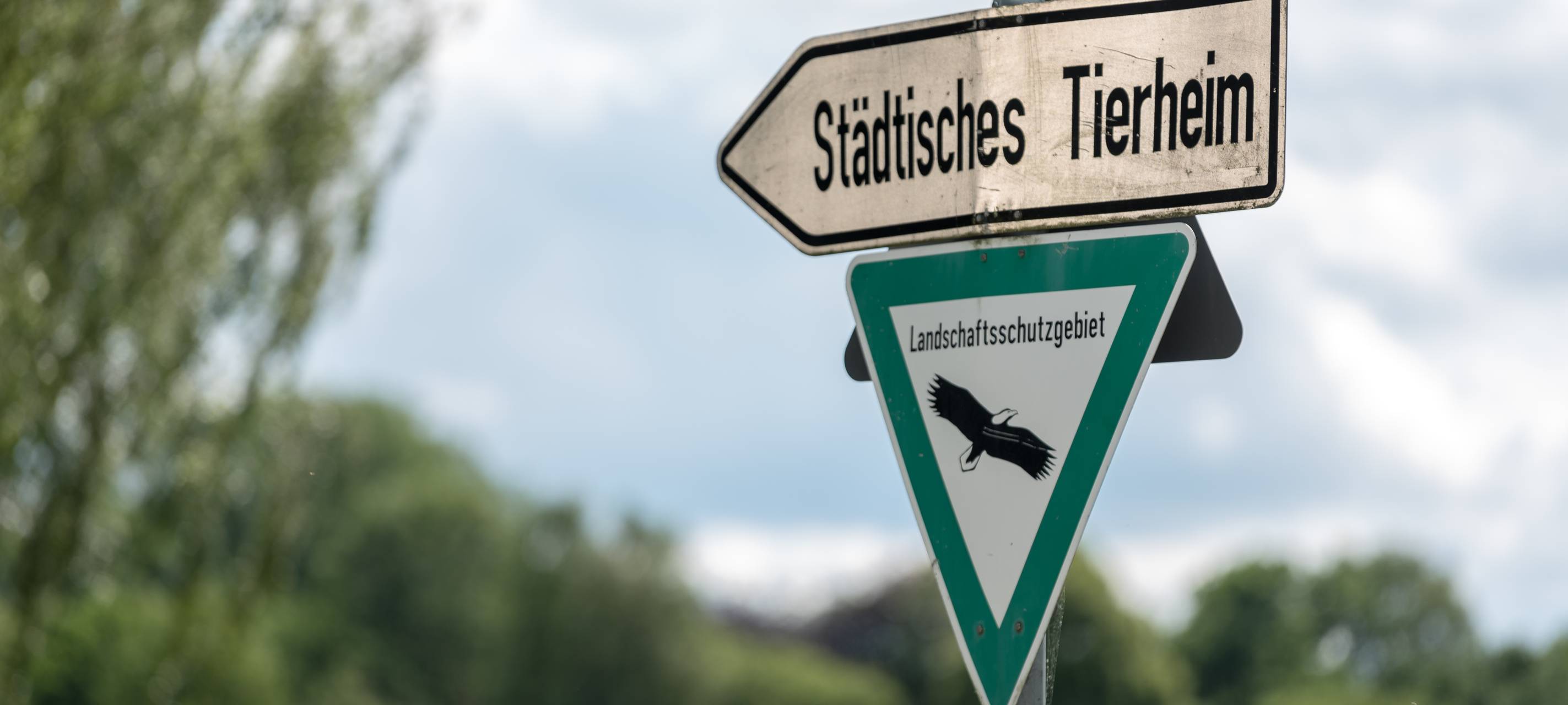 Boden am Tierheim stärker belastet als gedacht