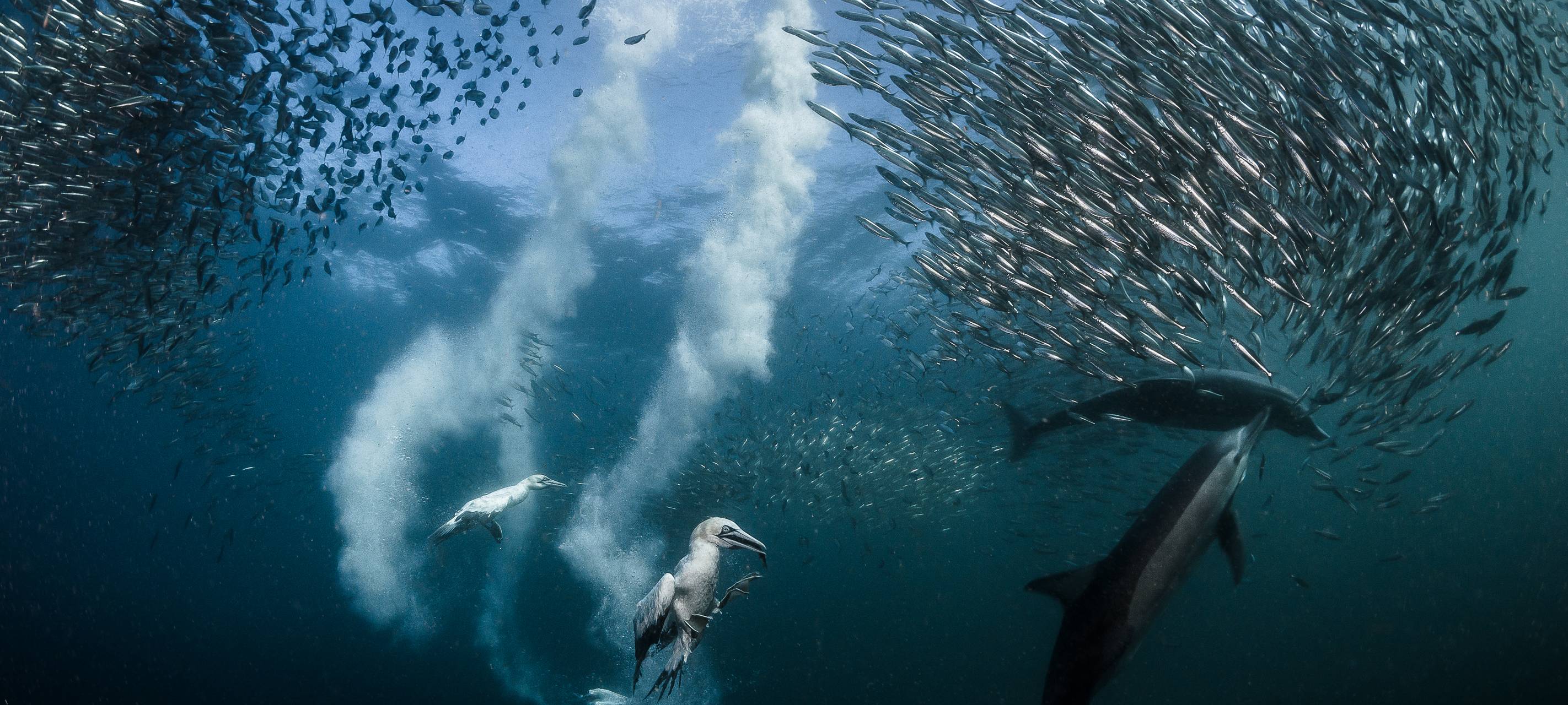 VR-Naturabenteuer im Gasometer