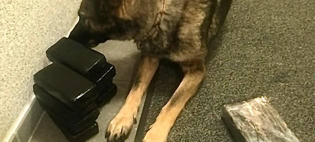 Drogenschmuggel nimmt aktuell zu