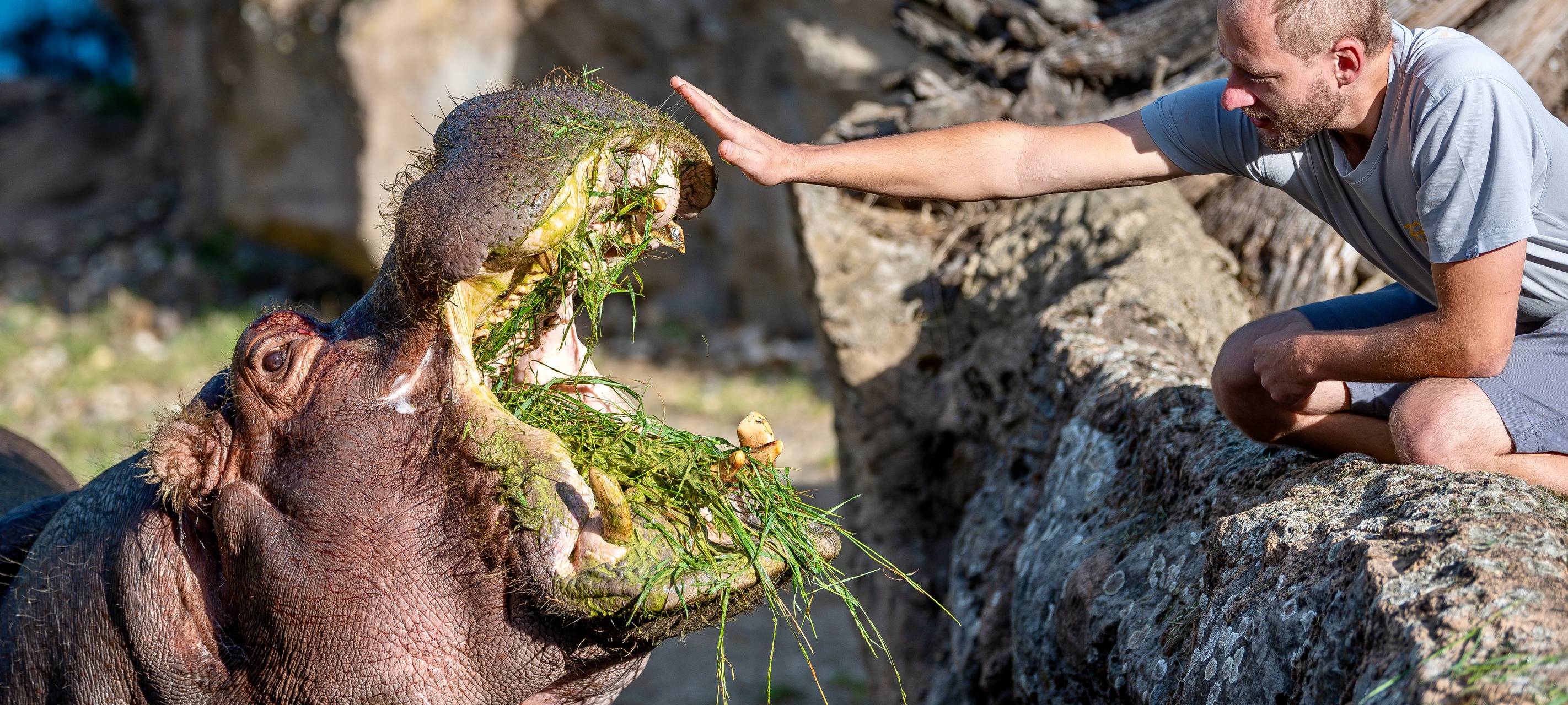 Zoos leiden unter Corona-Krise