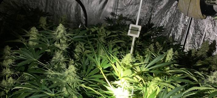 Polizei ermittelt Diebesbande