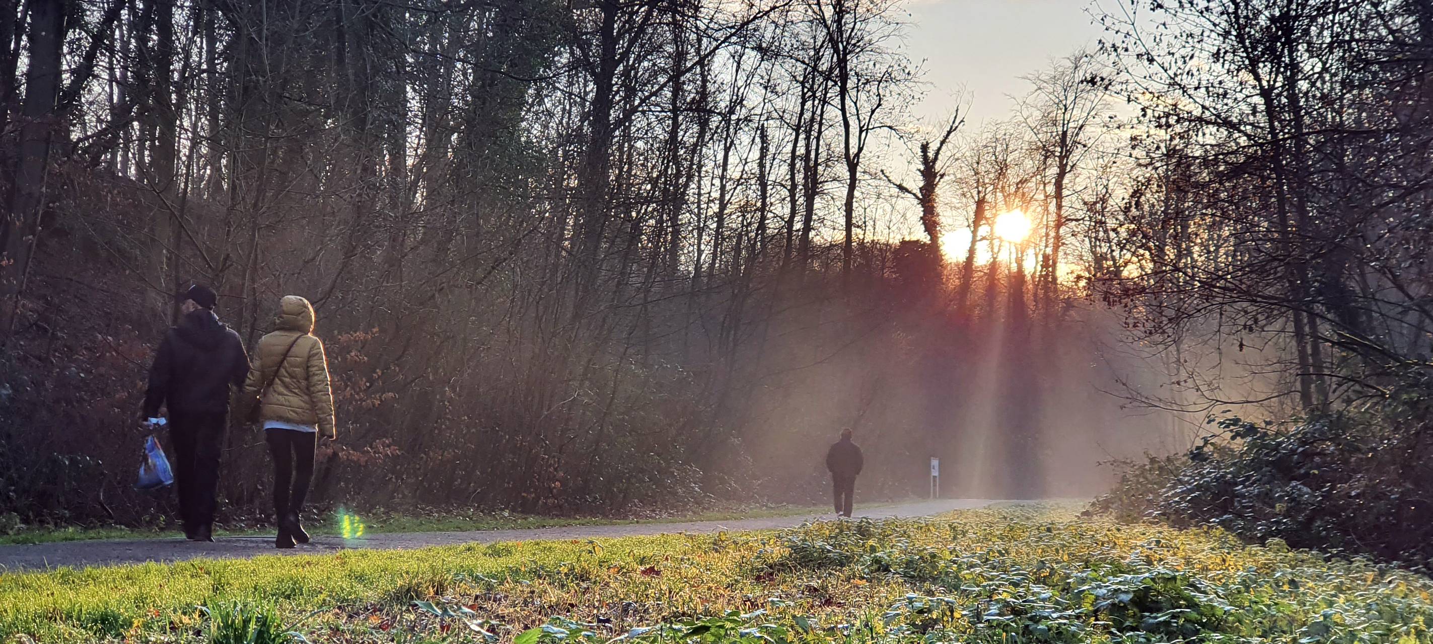 Besucheransturm auf Wälder