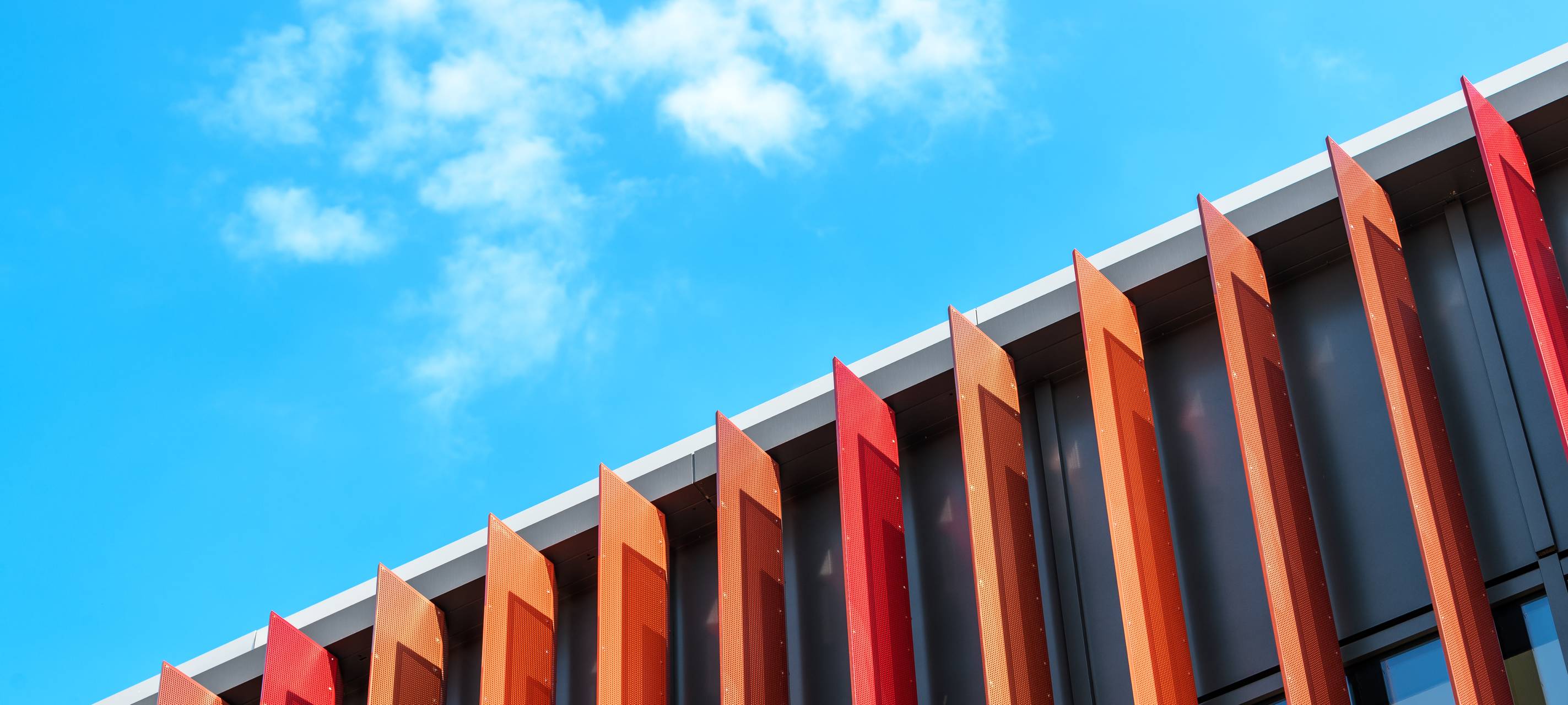 Woche der Studienorientierung an der HRW