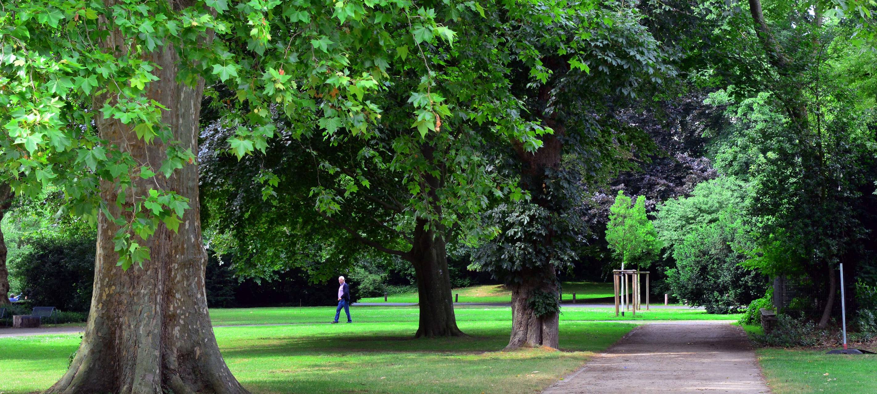 Ab heute werden die Ruhranlagen verschönert