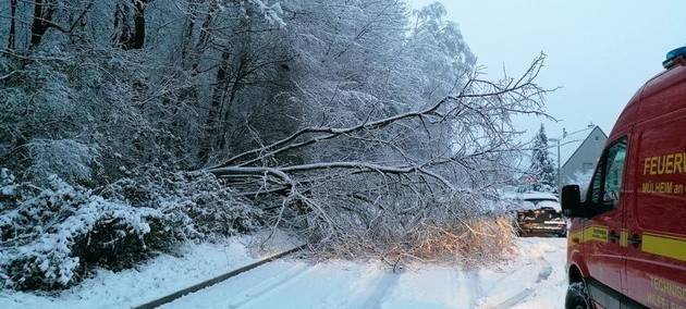 Schnee lässt Bäume umstürzen