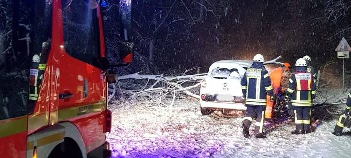 Schnee lässt Bäume umstürzen