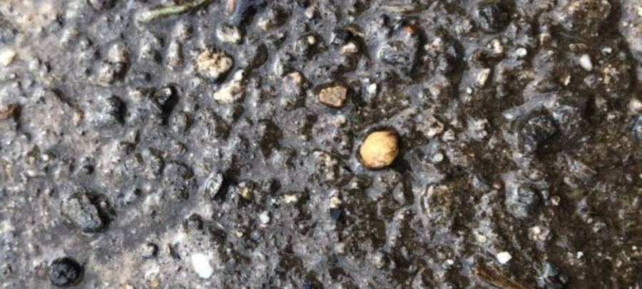 Stadt warnt vor seltsamen "Kügelchen"