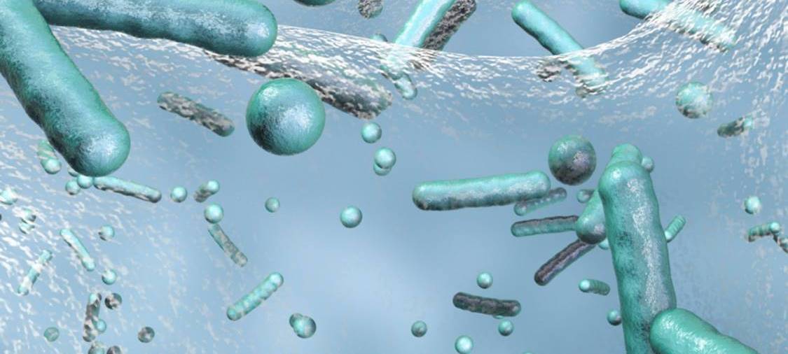 Legionellen: Betriebe sollen Leitungen spülen