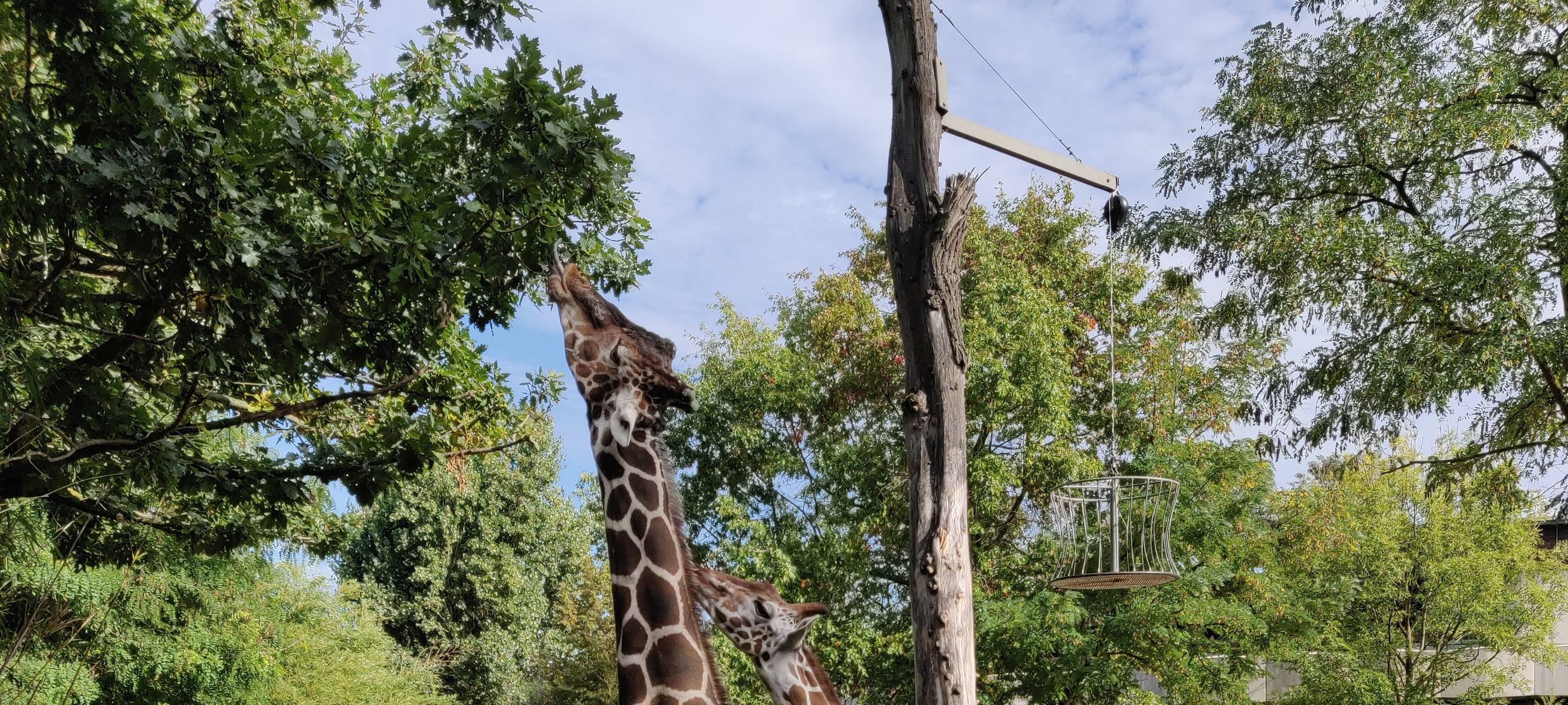 Duisburg erlässt härtere Regeln