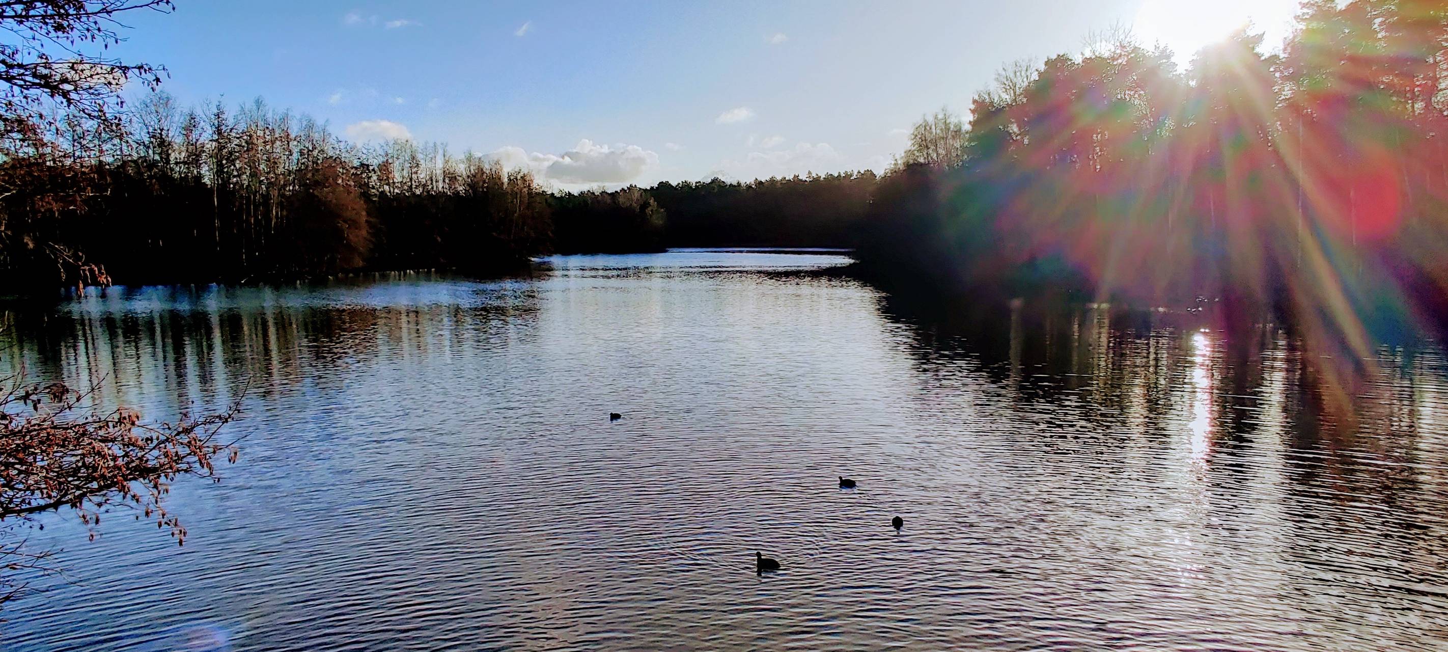 Virtuelle Reisemesse