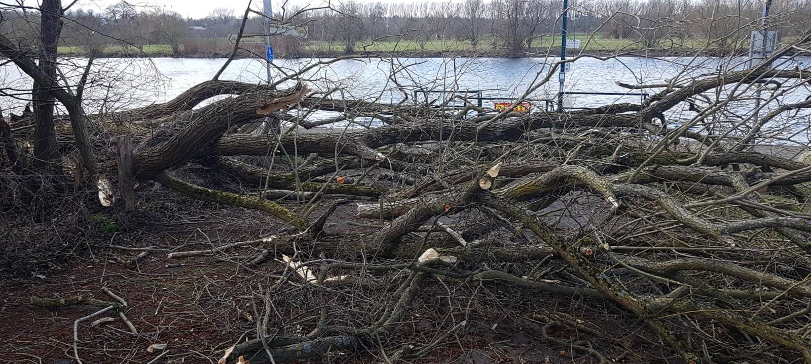 Einsätze durch Sturm