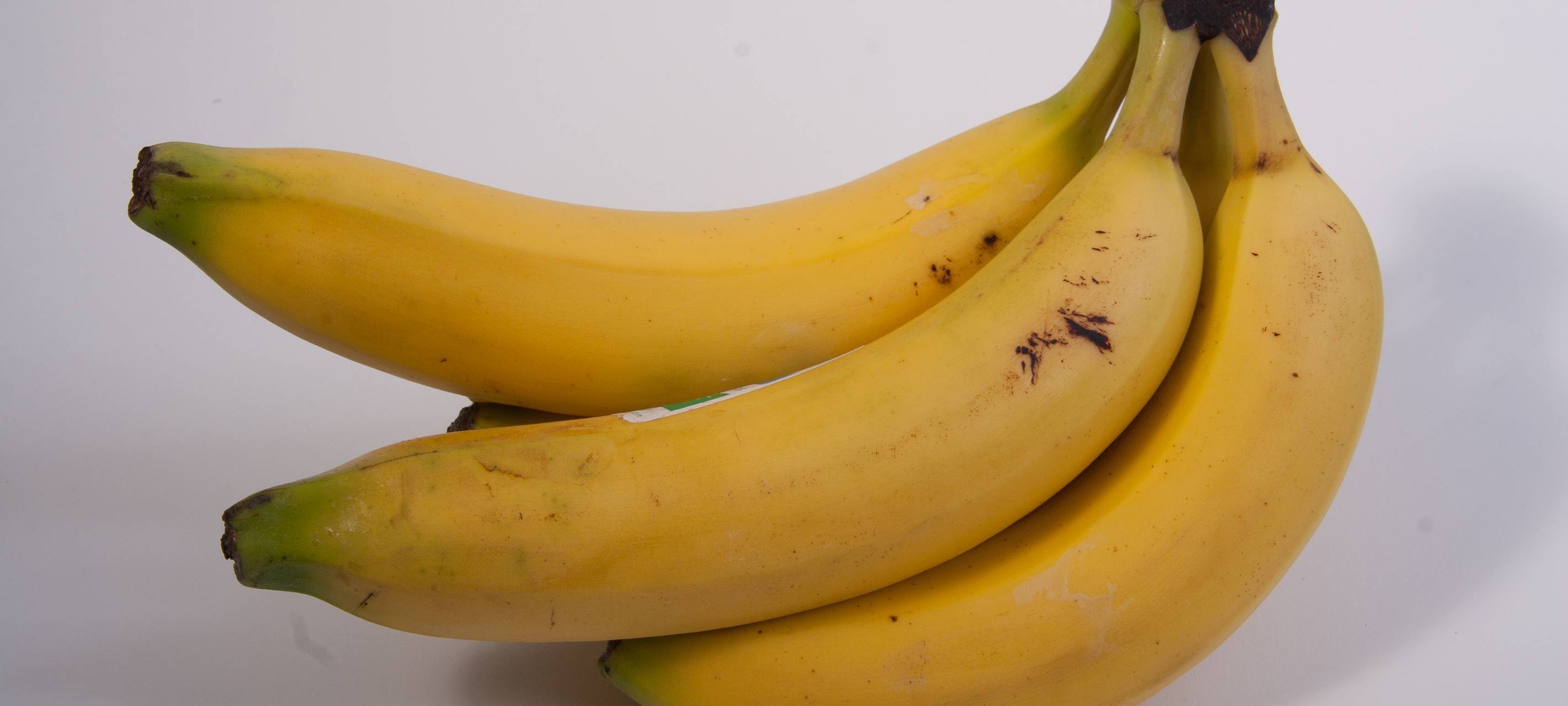 Feuerwehr findet Spinne in Obstkarton