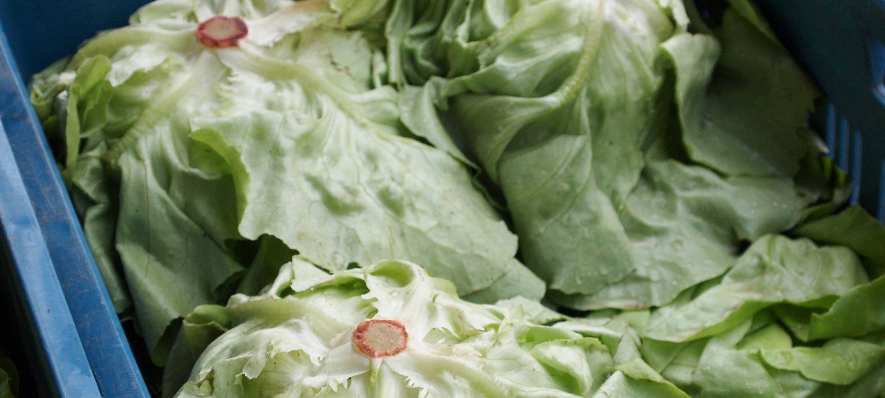 Die Tafel hat jetzt einen Lieferdienst