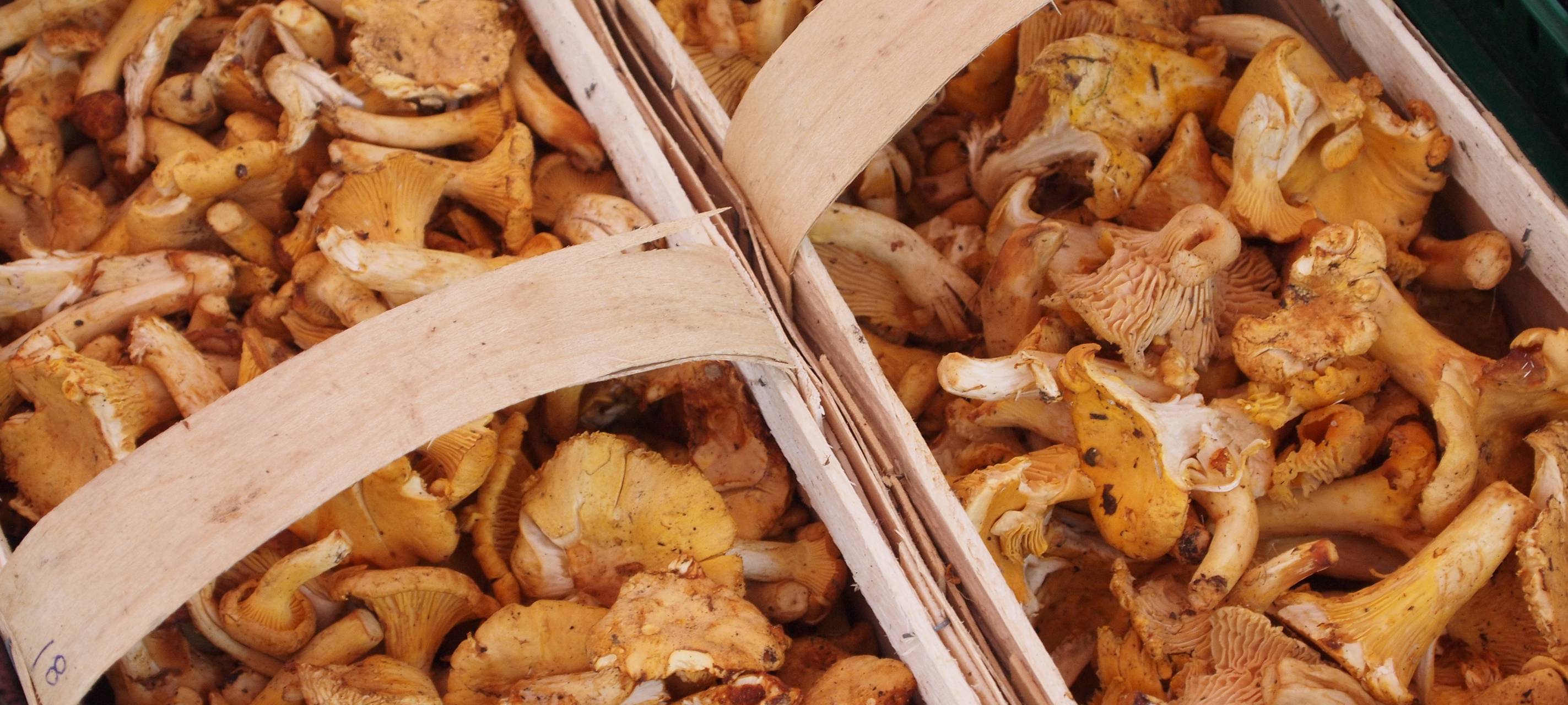 Standortfrage für Wochenmarkt immer noch nicht geklärt