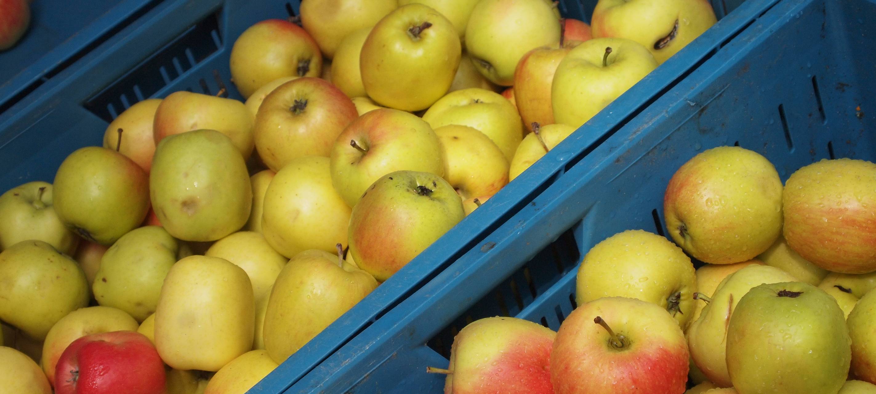 Oberhausener Tafel ab Montag wieder geöffnet