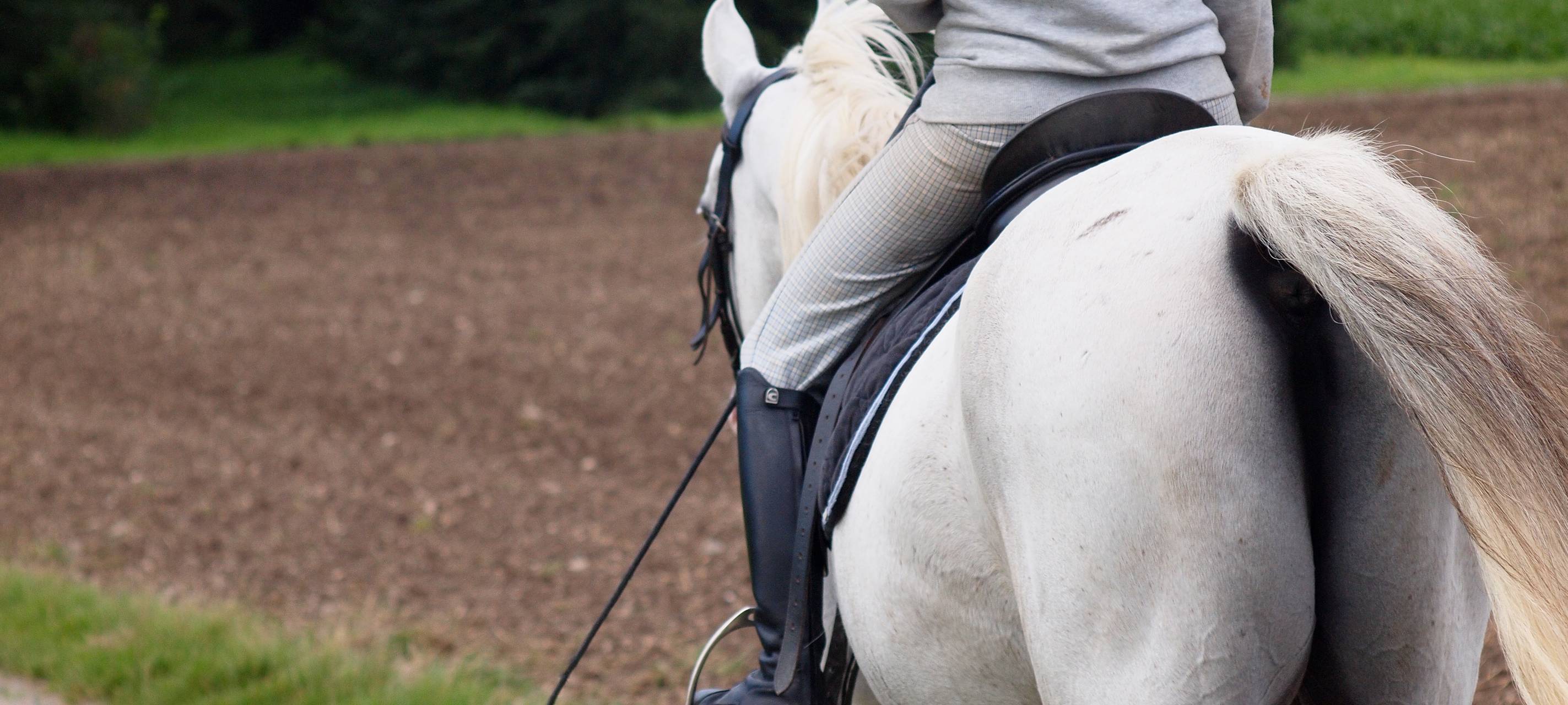 Waldandacht am Auberg