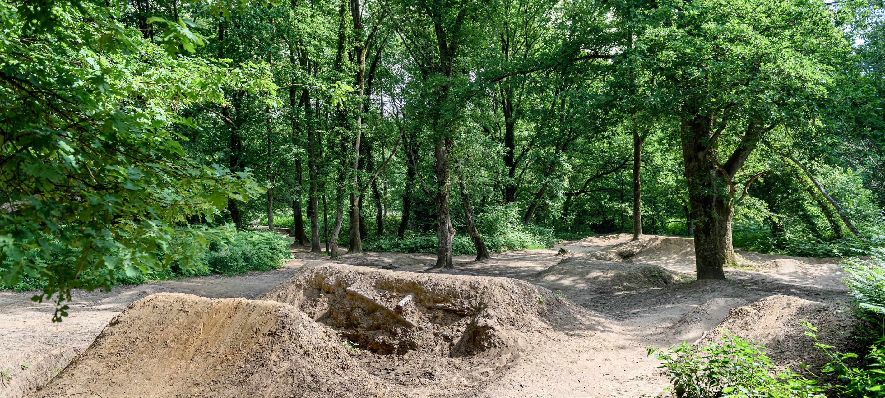 Mountainbike-Strecke: Stadt lässt Bäume fällen