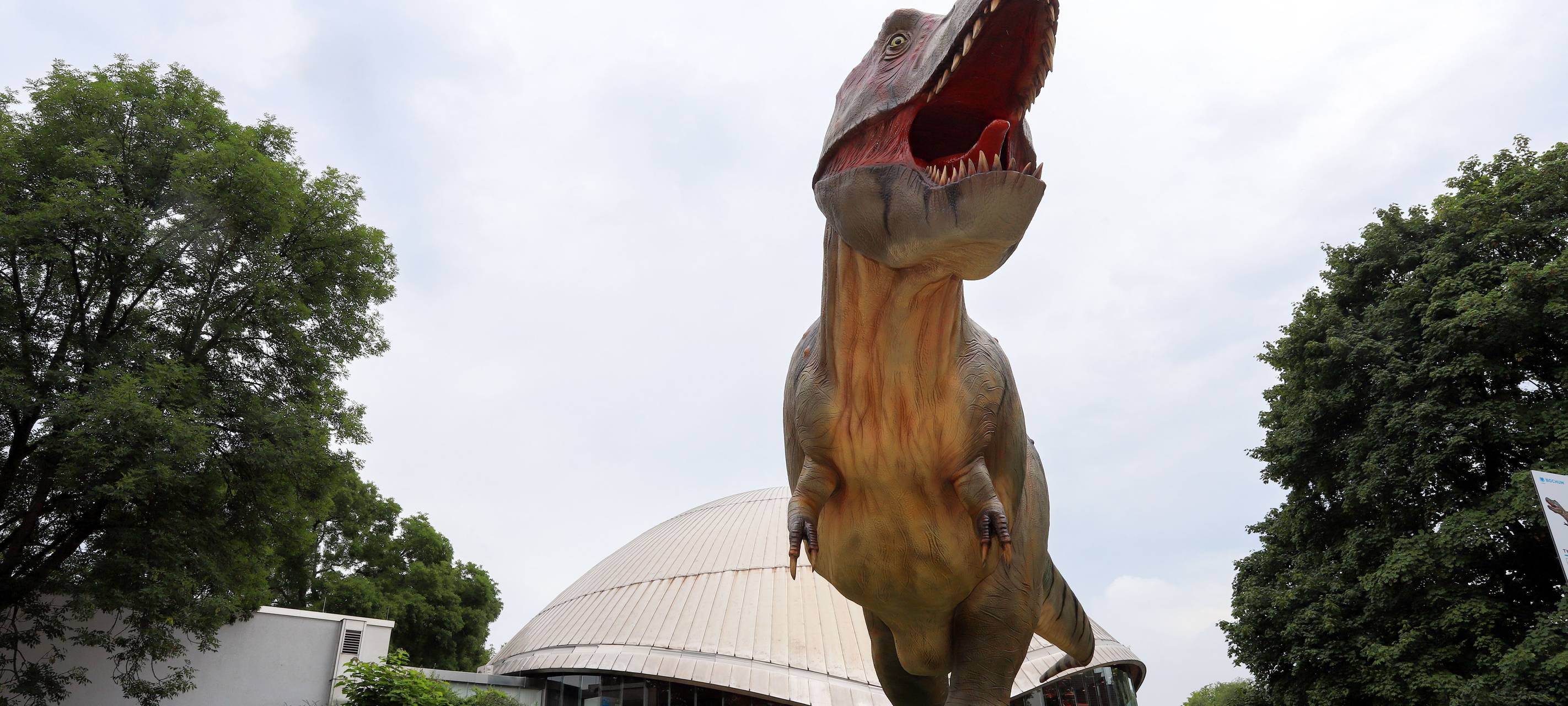 Lebensgroße Dinos in Bochum