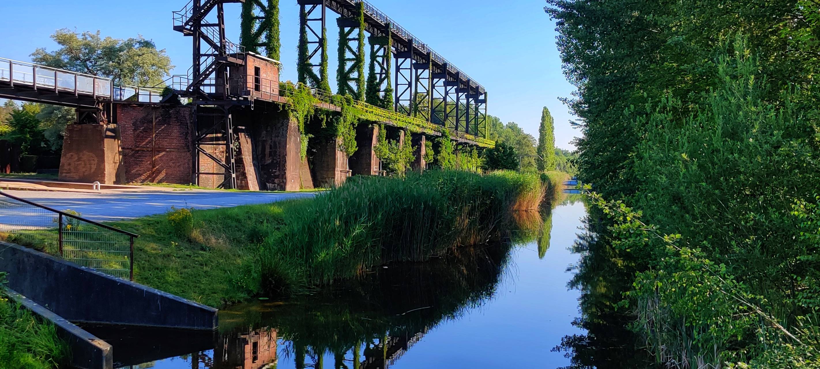 Einige gefährdete Arten gesichtet