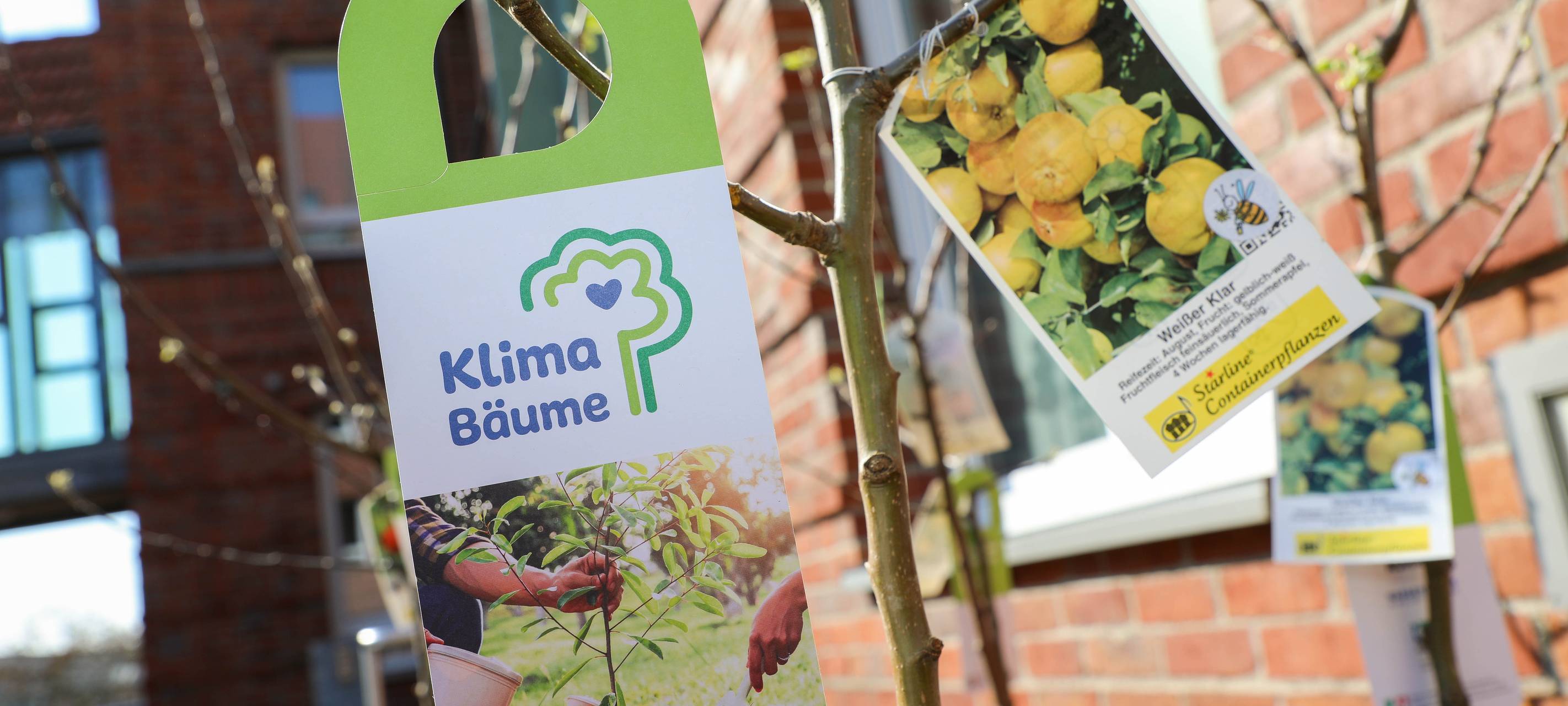 So lasst uns denn...