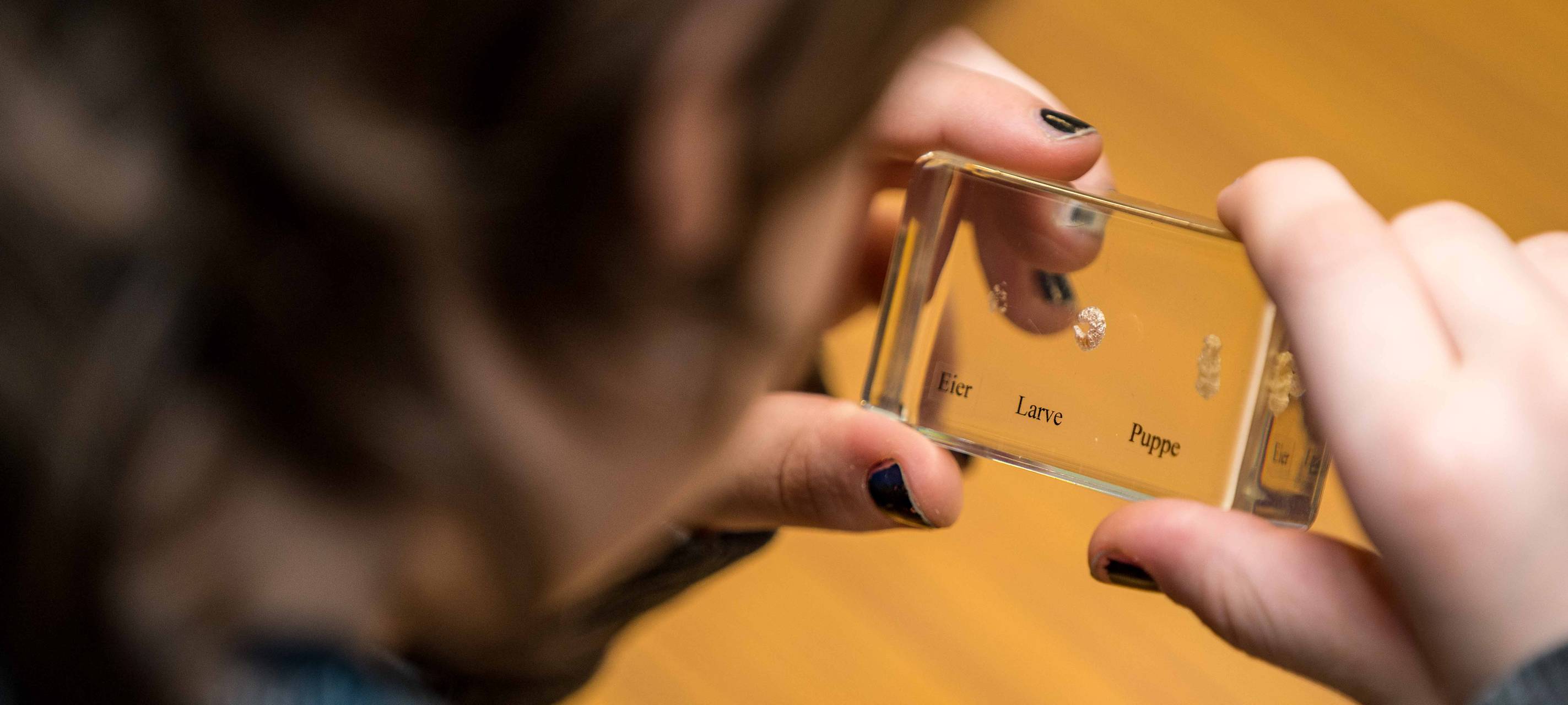 Anmeldestart für Junior Uni