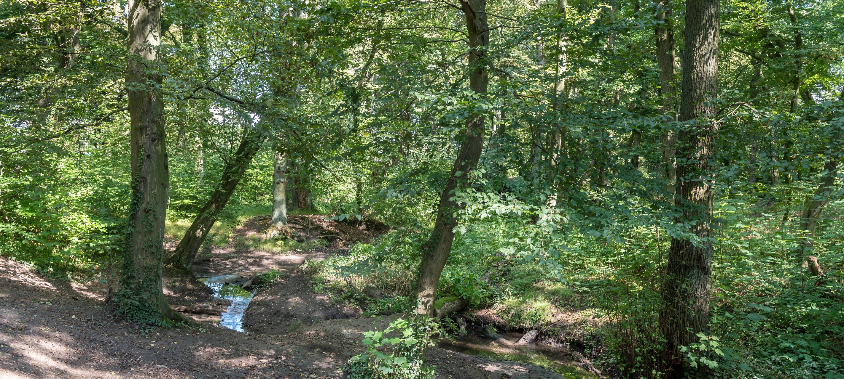 Jahrelange Verzögerungen