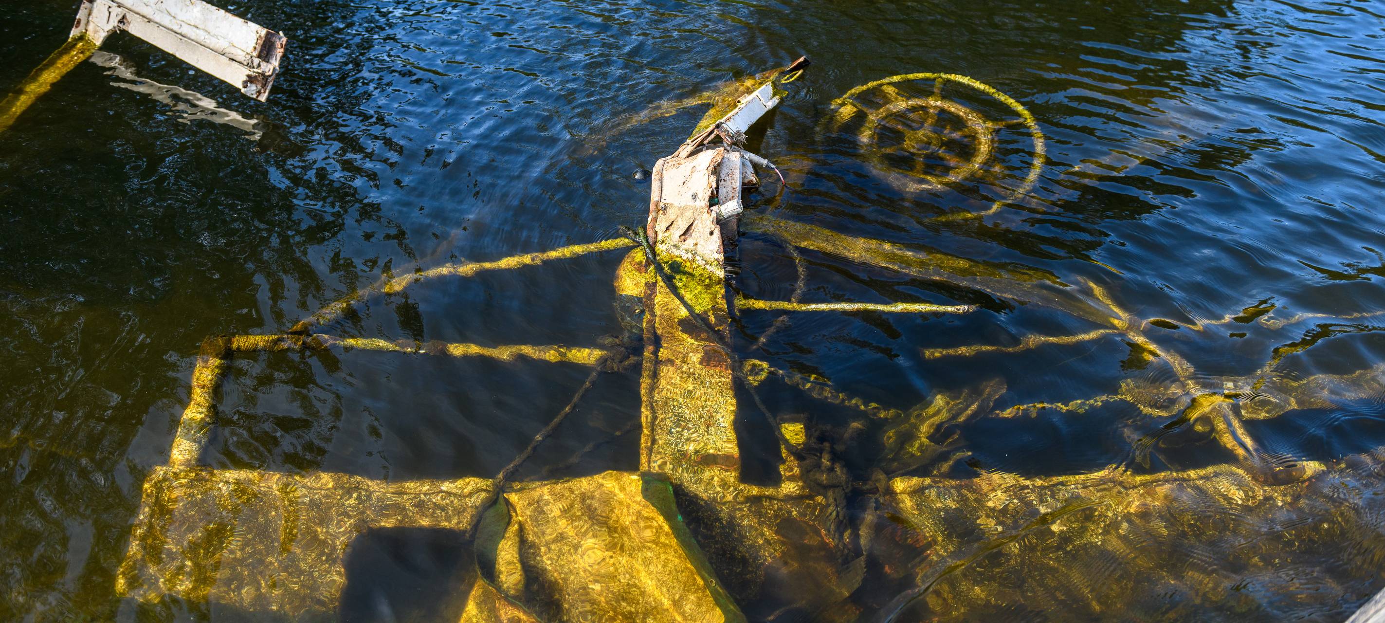 Luftsäcke sollen Moornixe an die Oberfläche bringen - MIT UPDATE