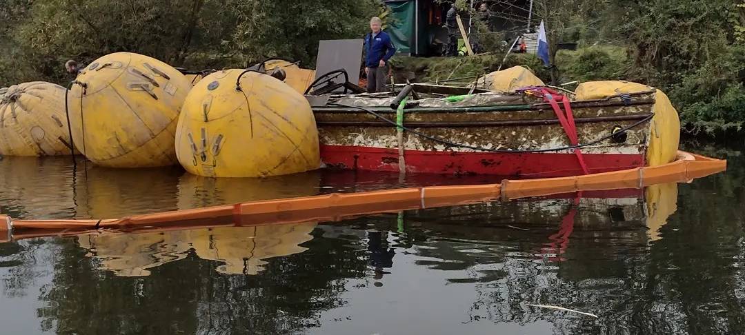 Moornixe stark beschädigt