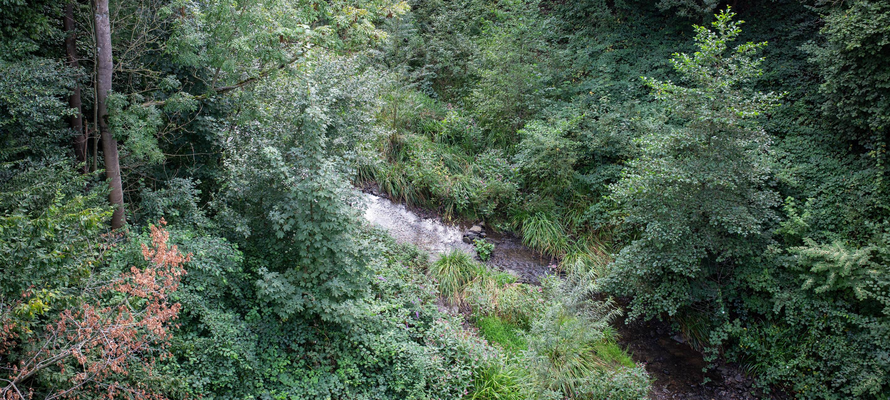 Abwasser fließt unterirdisch
