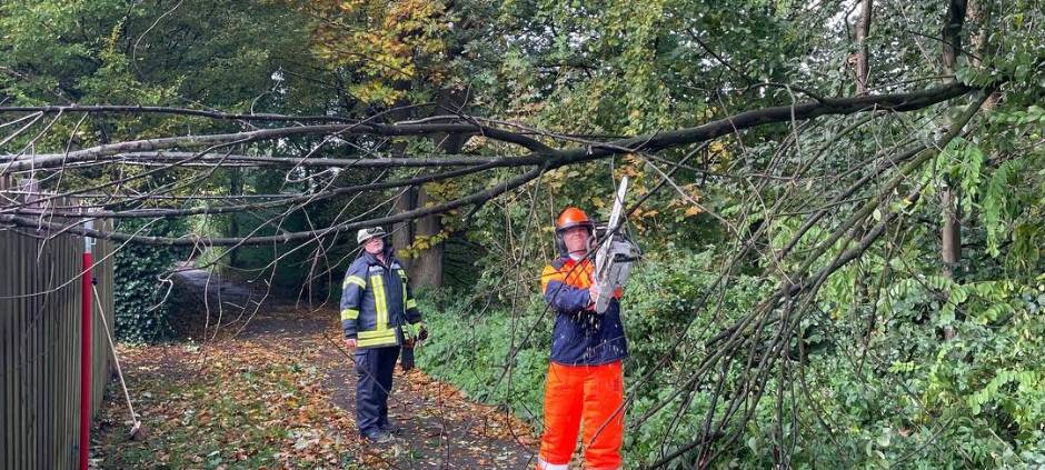 Bäume umgestürzt, Äste abgefallen