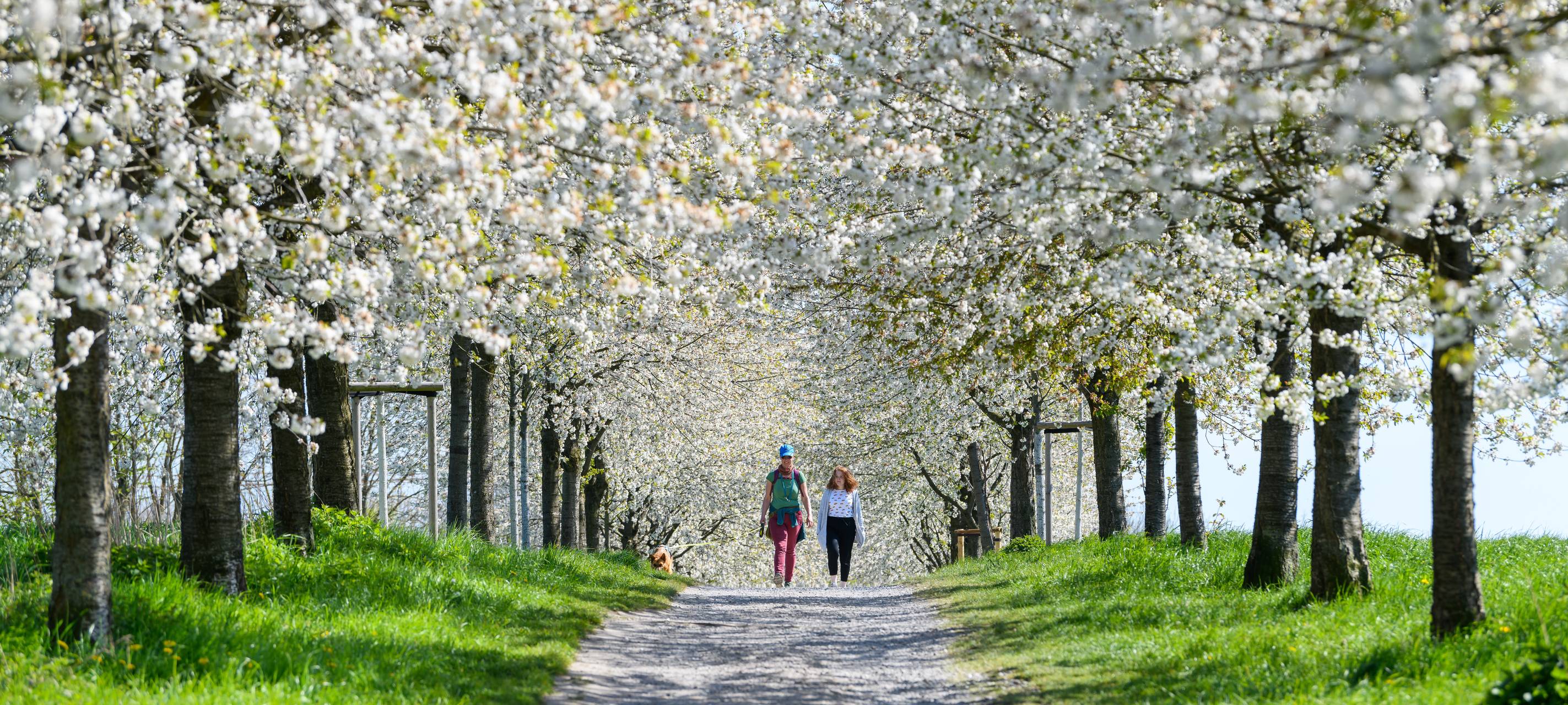 Projekt hilft bei Bewässerung