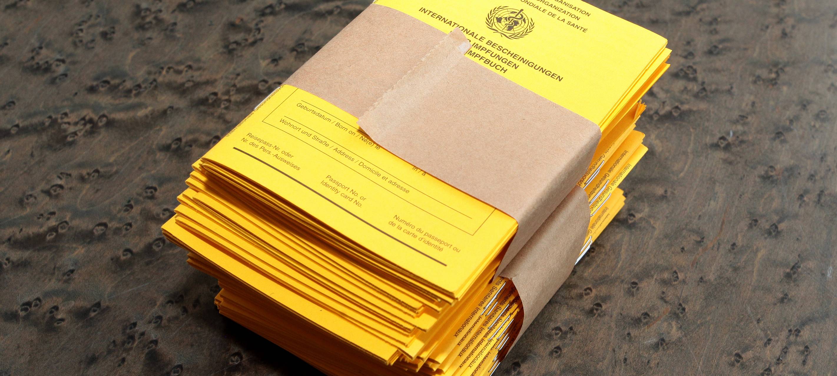 Polizei schnappt Impfpass-Fälscher