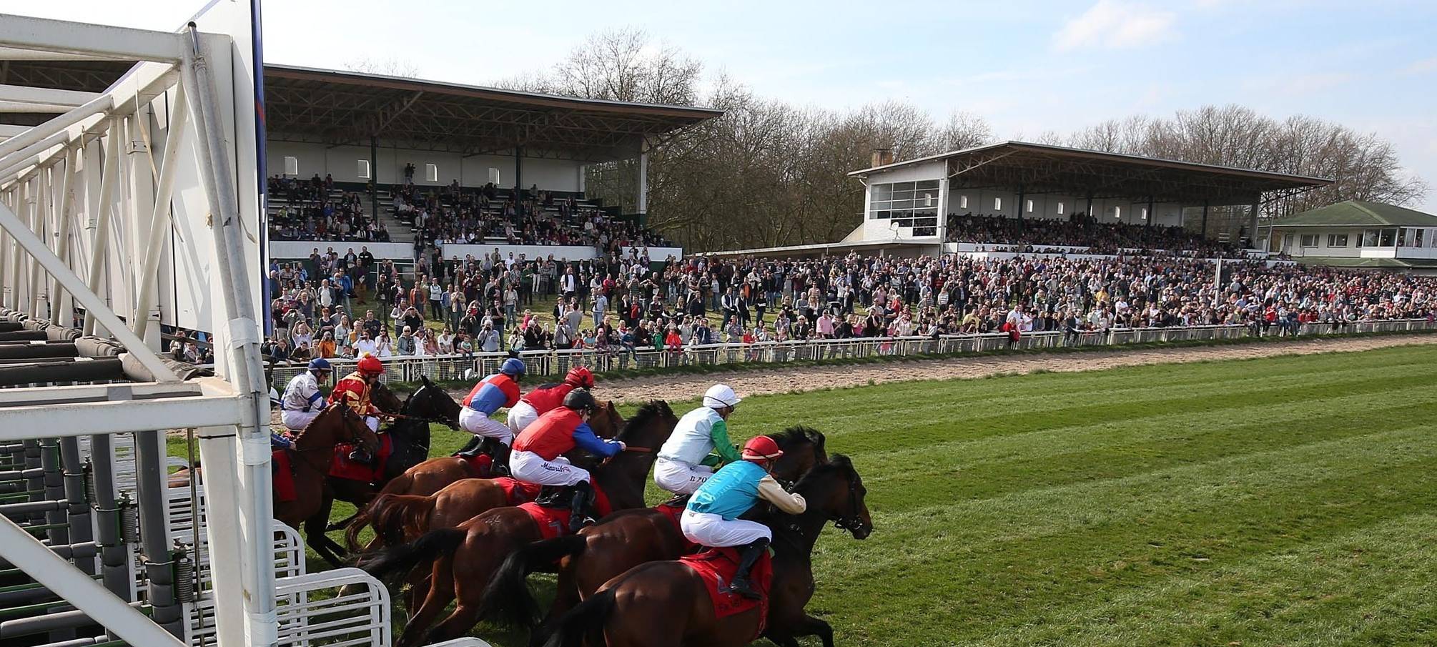 Vorletzter Renntag des Jahres