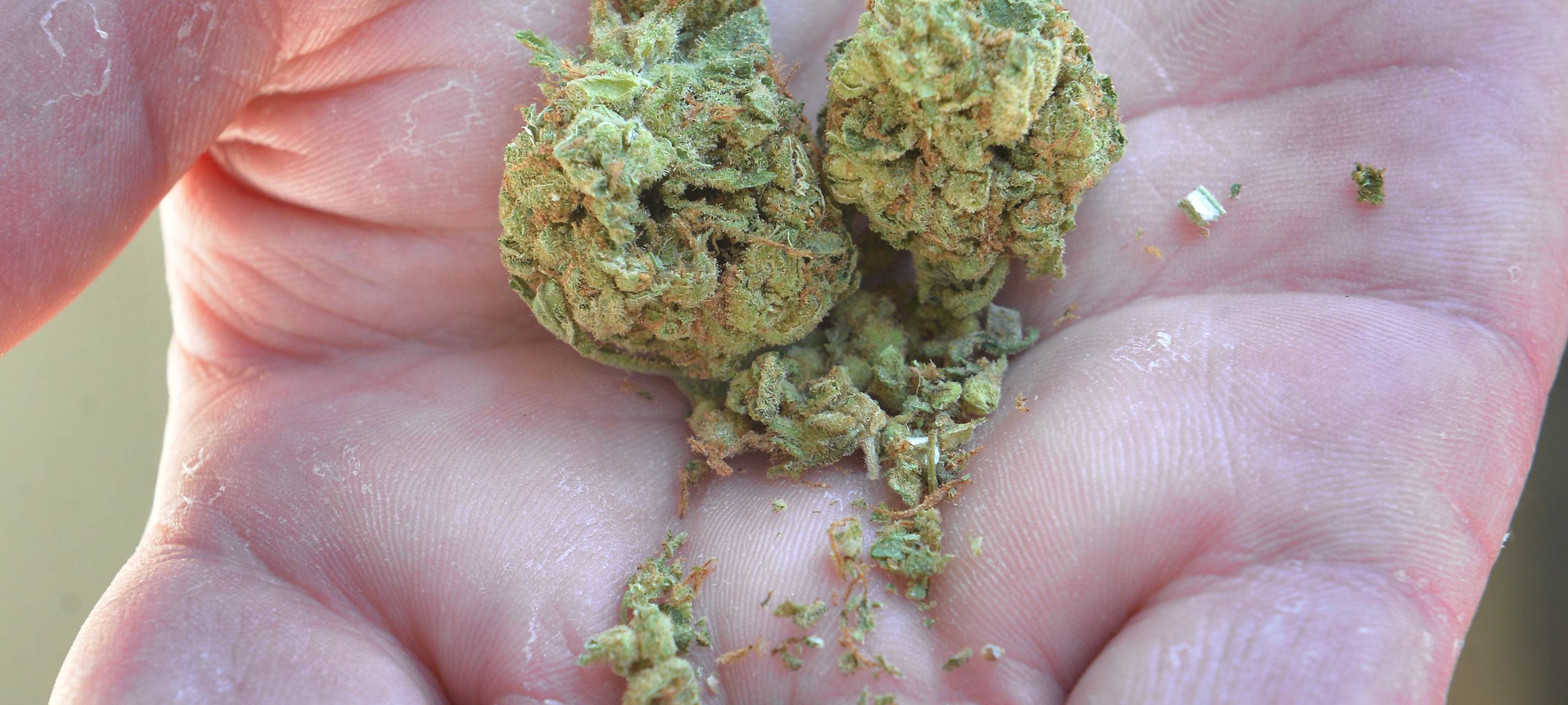 Polizei sprengt Essener Drogenring