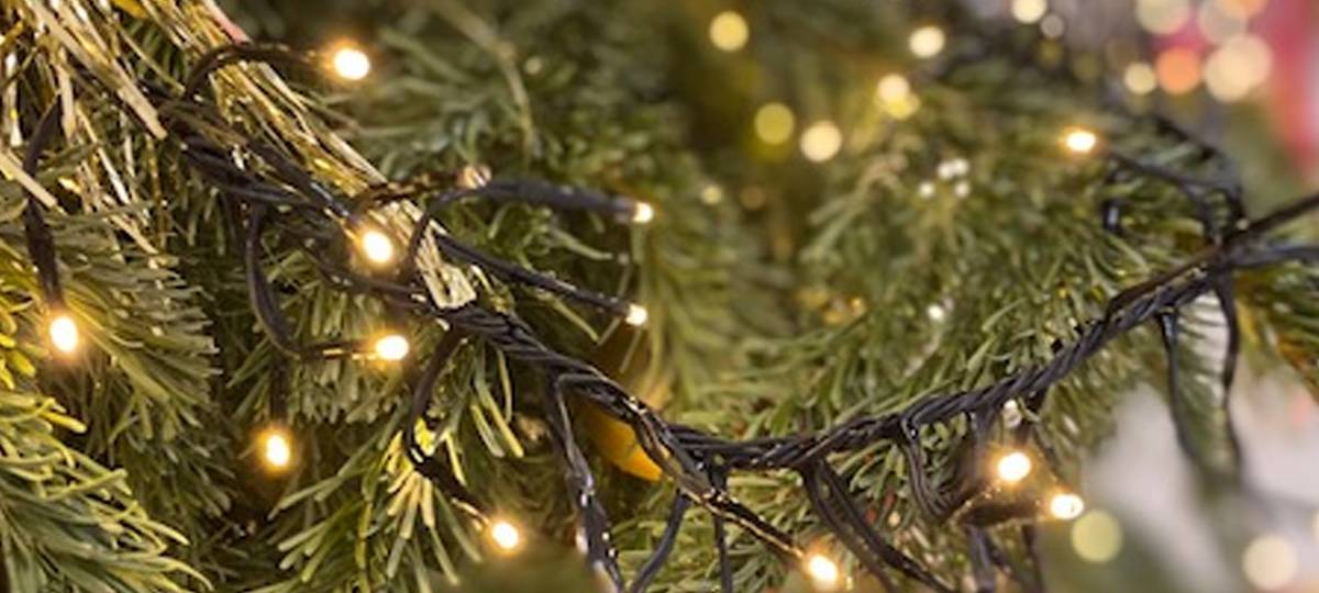 Unsere Serie zum Weihnachtsfest: So geht nachhaltiges Schenken