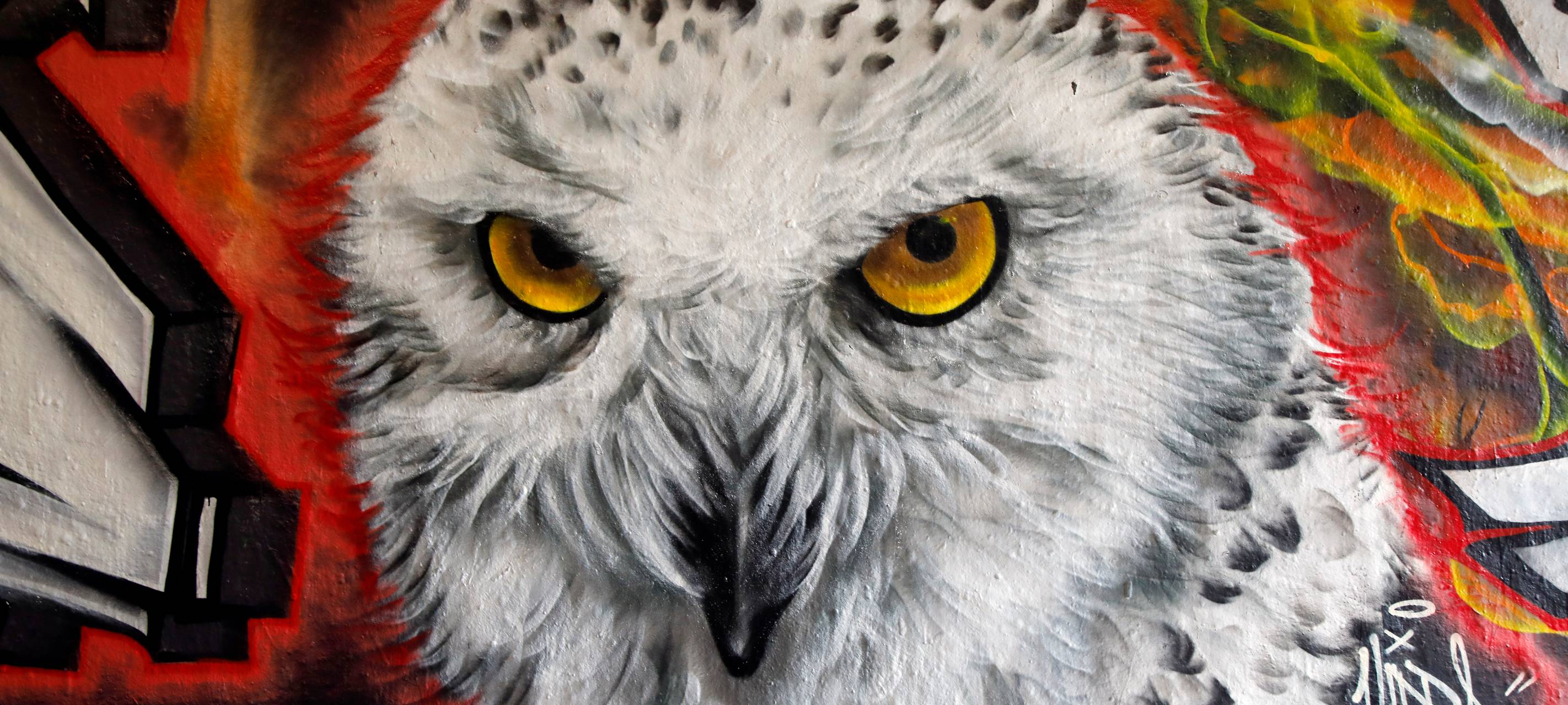 Harry-Potter-Kunst im Tunnel