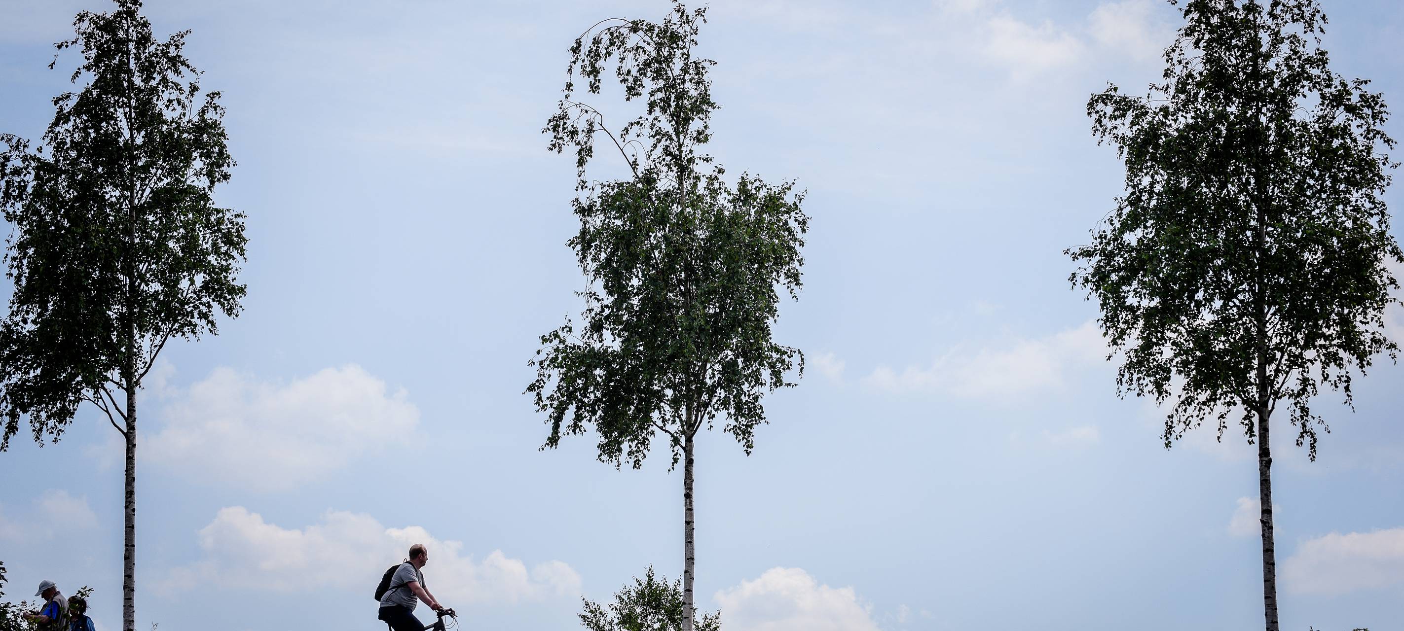 RS1: Abschnitt mit Buckelpiste wird beseitigt