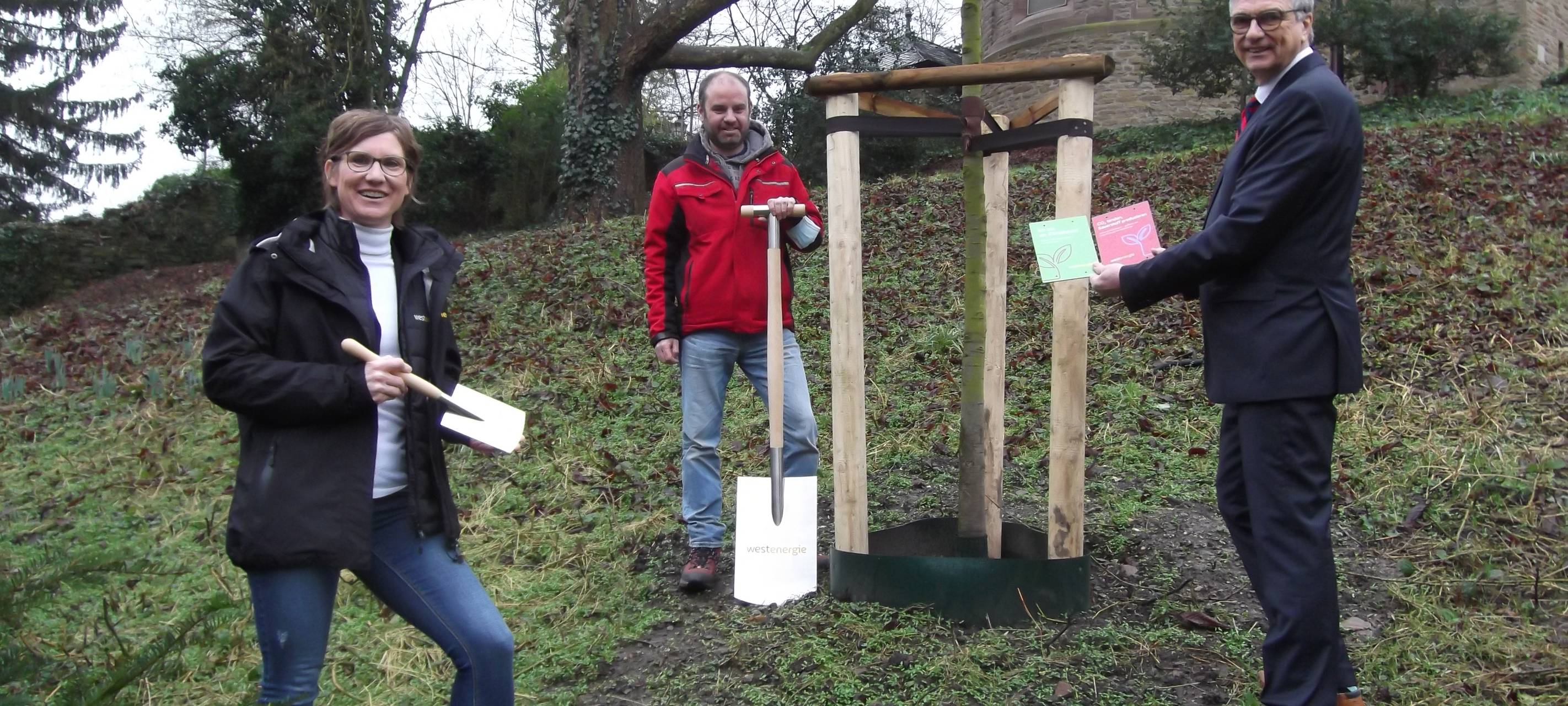 Neue Bäume für den Klimaschutz
