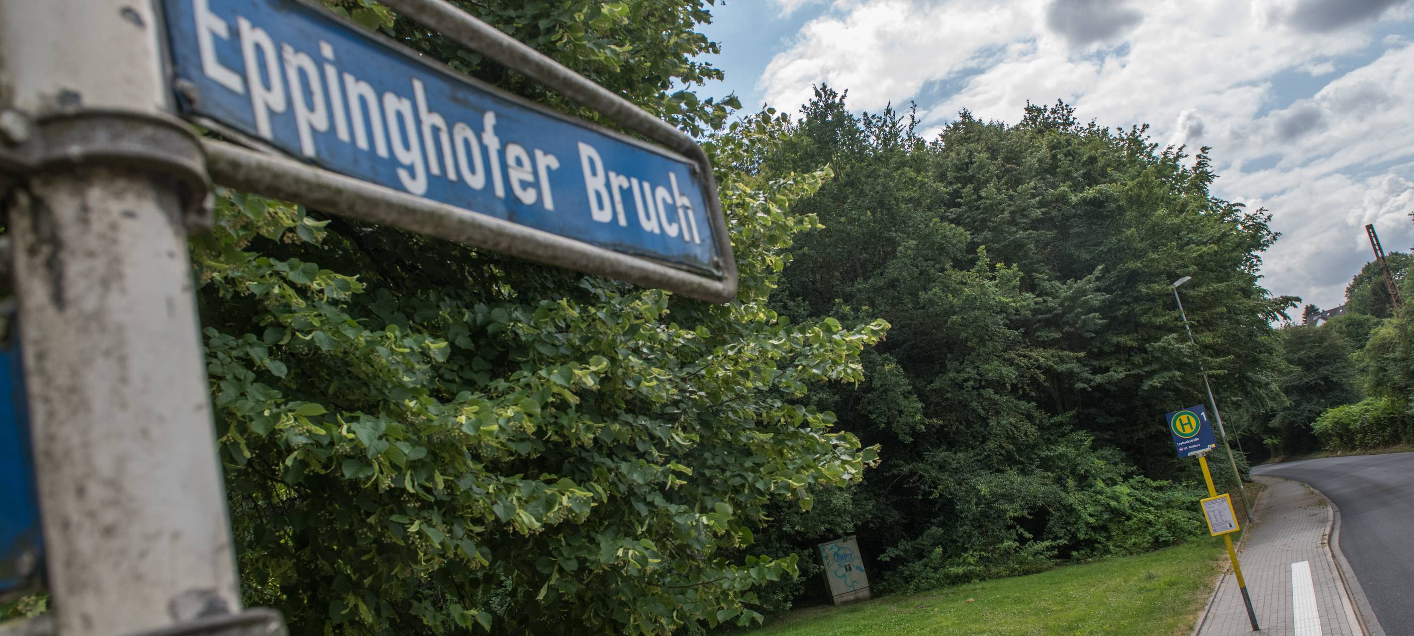 Baustelle sorgt für Verkehrsstörungen