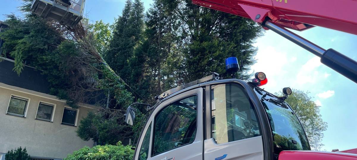 Baum fällt auf Haus