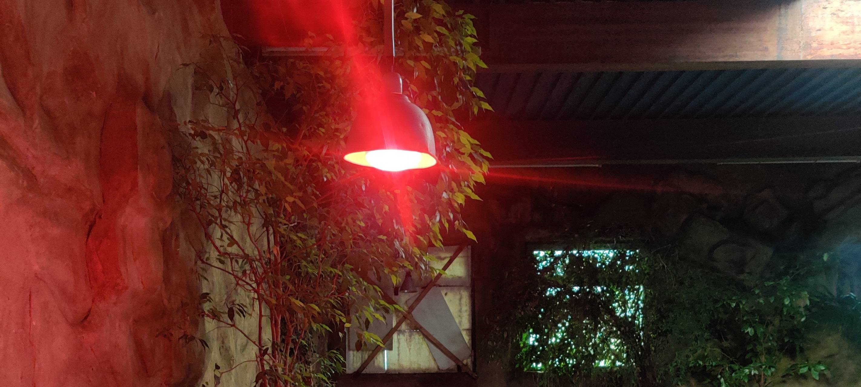 Ferienspiele: Kurse und Ausflüge