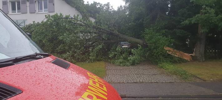 Baum auf Wohnhaus gestürzt