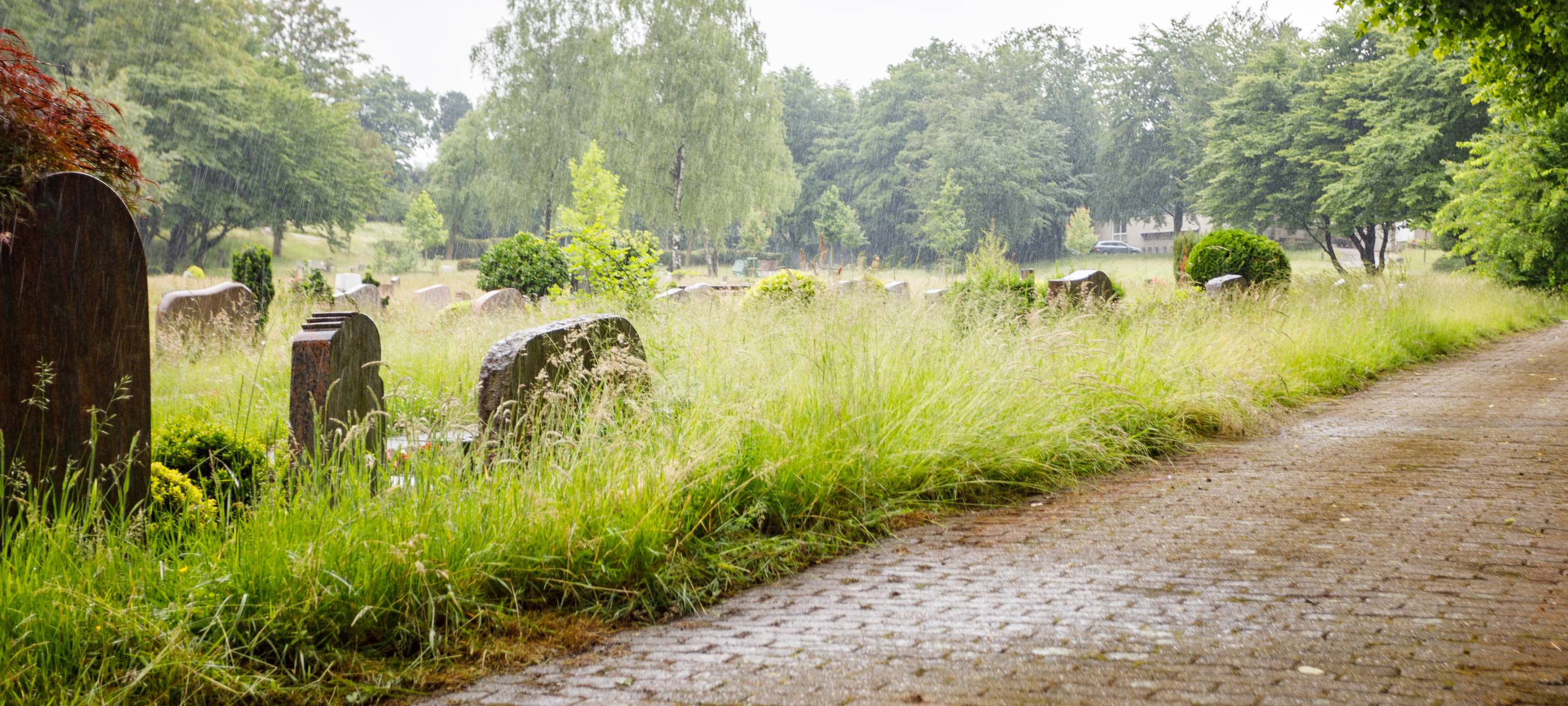 Neue Firma übernimmt Friedhofspflege