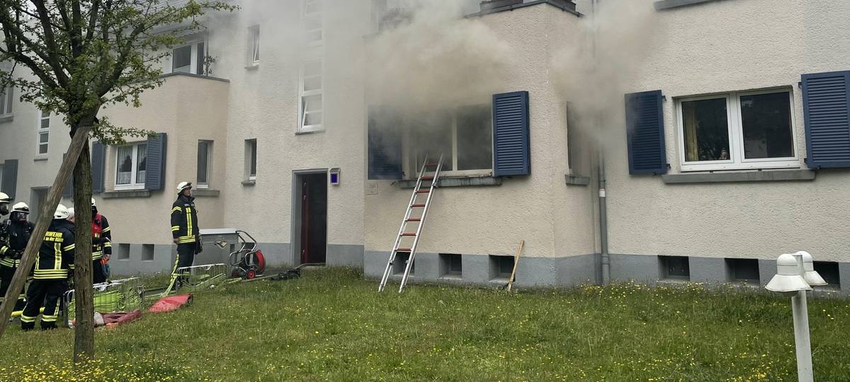 Katze aus Wohnung gerettet