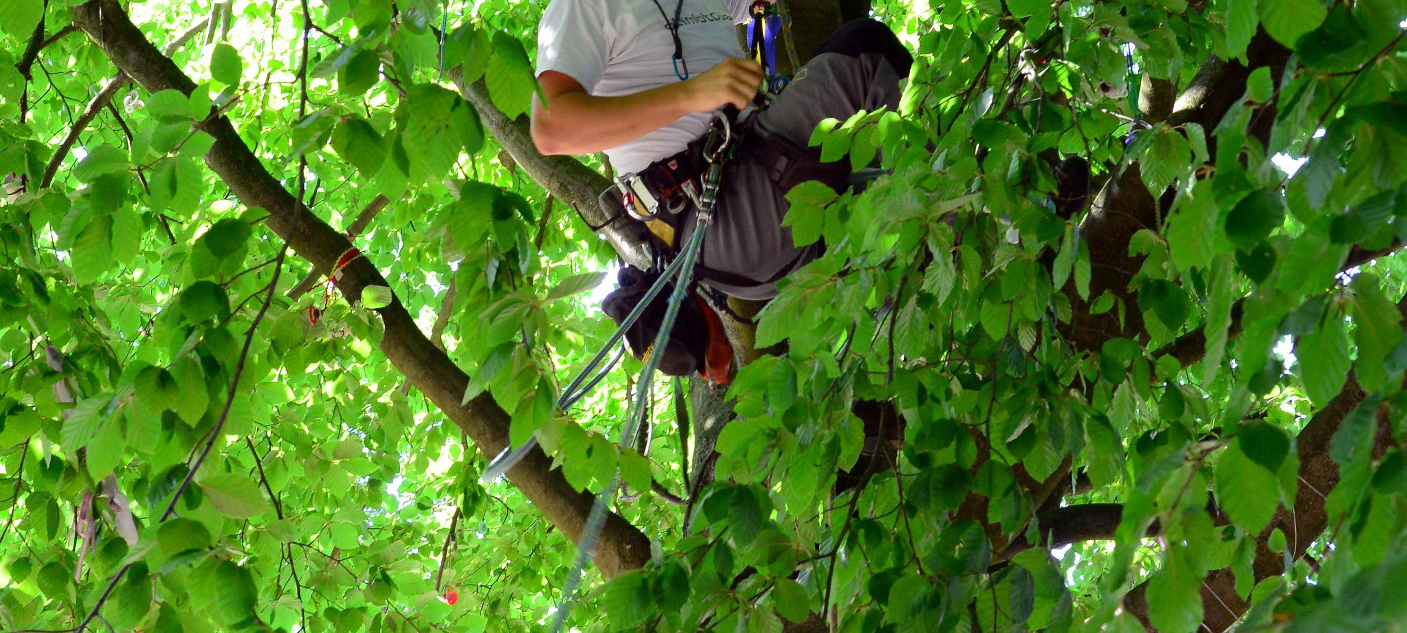 Mülheimer Familienfest zum Ferienabschluss