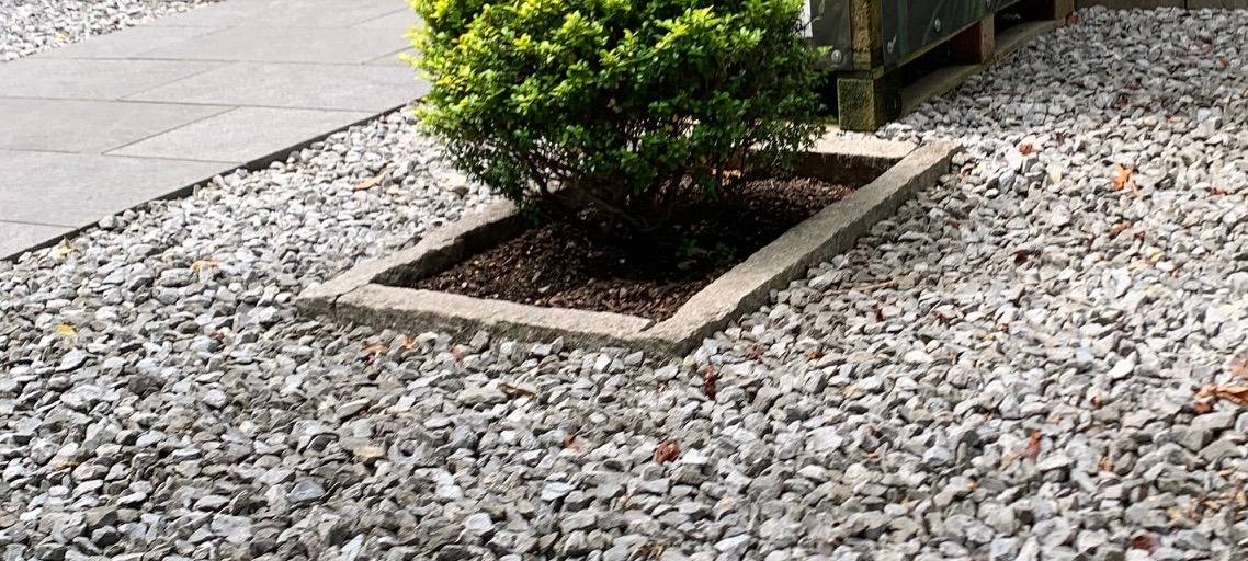 Rätselraten um angebliches Schreiben des Ordnungsamts